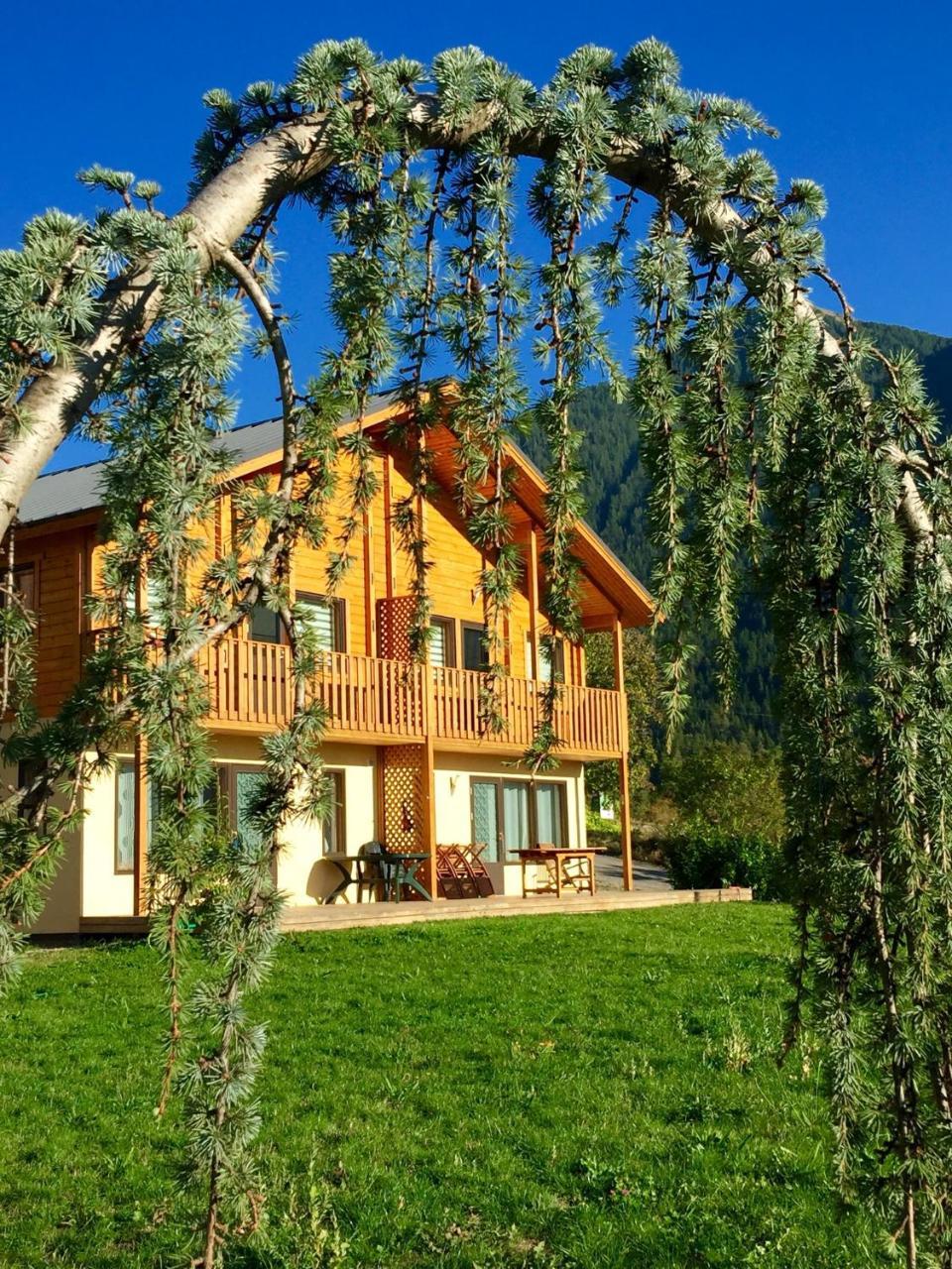Les Chalets Fleurs De France - Kota Saint-Dalmas Zewnętrze zdjęcie