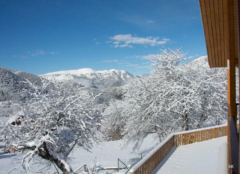 Les Chalets Fleurs De France - Kota Saint-Dalmas Zewnętrze zdjęcie